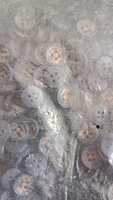 Buttons - 35