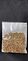Cut Beads - B1411784GP-2