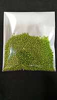 Sugar Beads - B39110024M-2